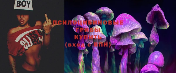 ALPHA PVP Покровск