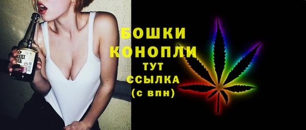 первитин Пестово