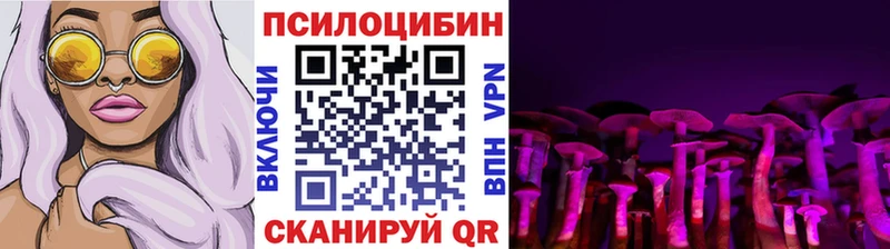 Псилоцибиновые грибы MAGIC MUSHROOMS  Кирсанов 